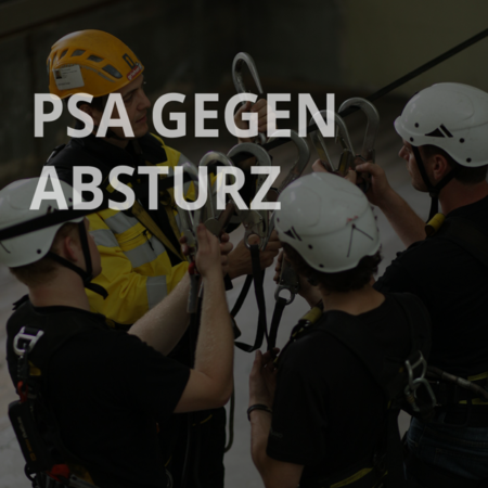 PSA gegen Absturz Refresh – Griehser.at
